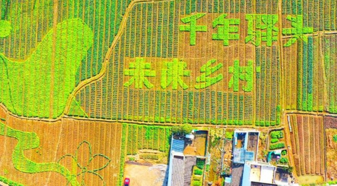 温州山水打卡点,温州市乡村旅游网红打卡地