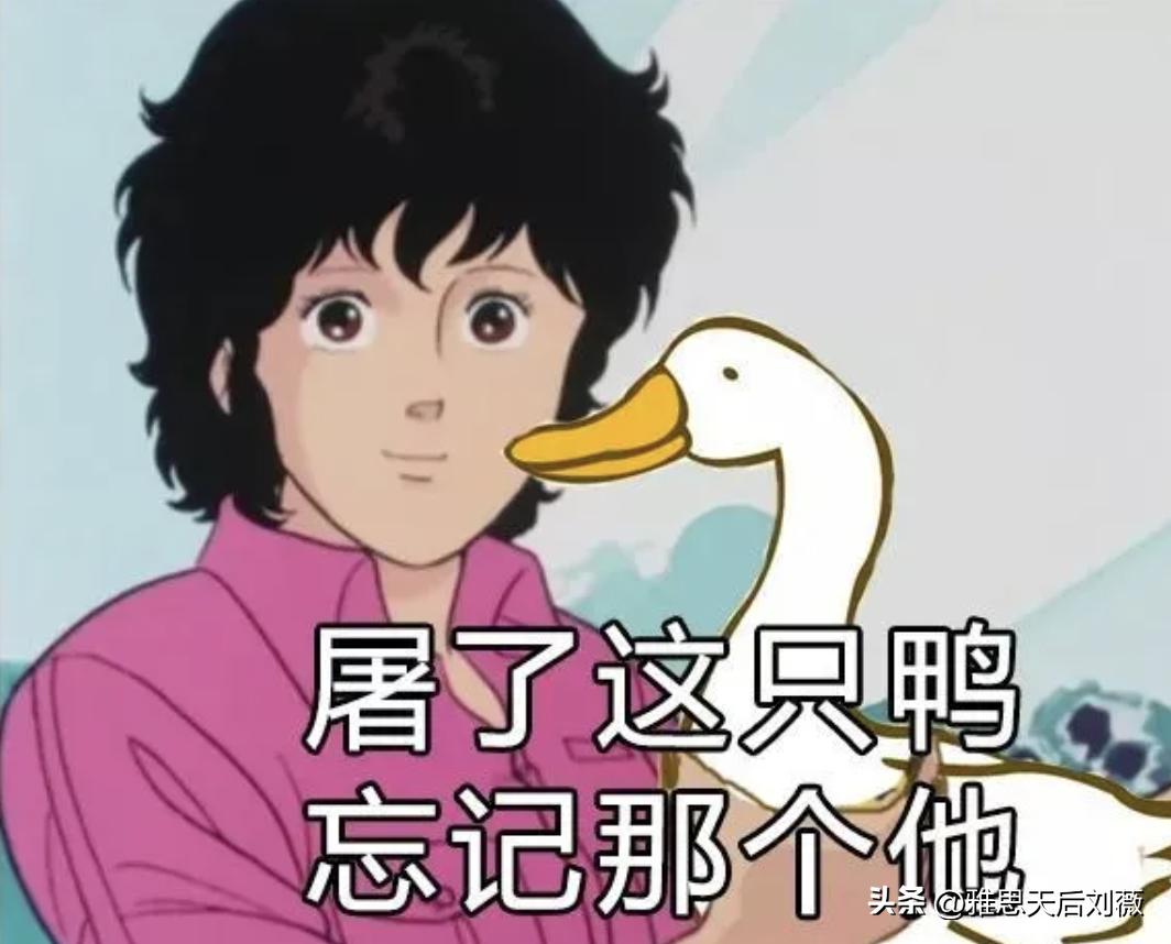 雅思小白如何入手开始学习雅思,雅思小白最全入门指南