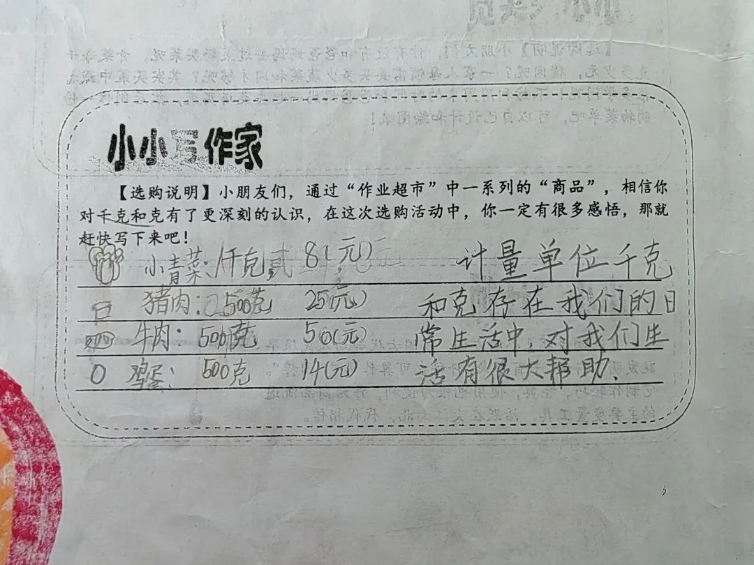 暑期数学综合实践活动小学,小学数学综合实践活动信息报道