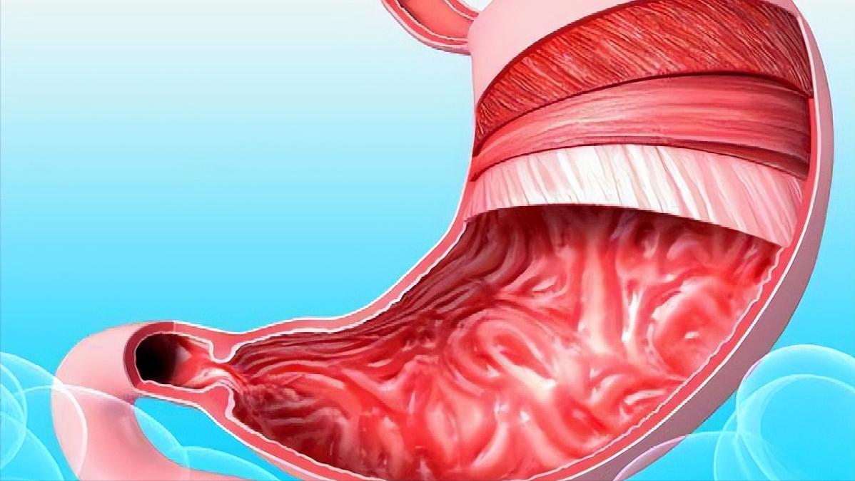 睡前吃夜宵凌晨肚子饿为什么,吃宵夜和饿肚子哪个危害大