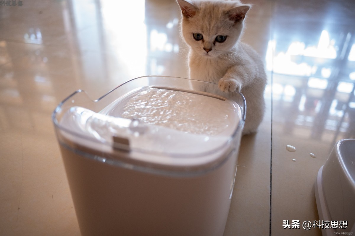 猫咪喝水神器智能不插电恒温,猫咪智能喂水器