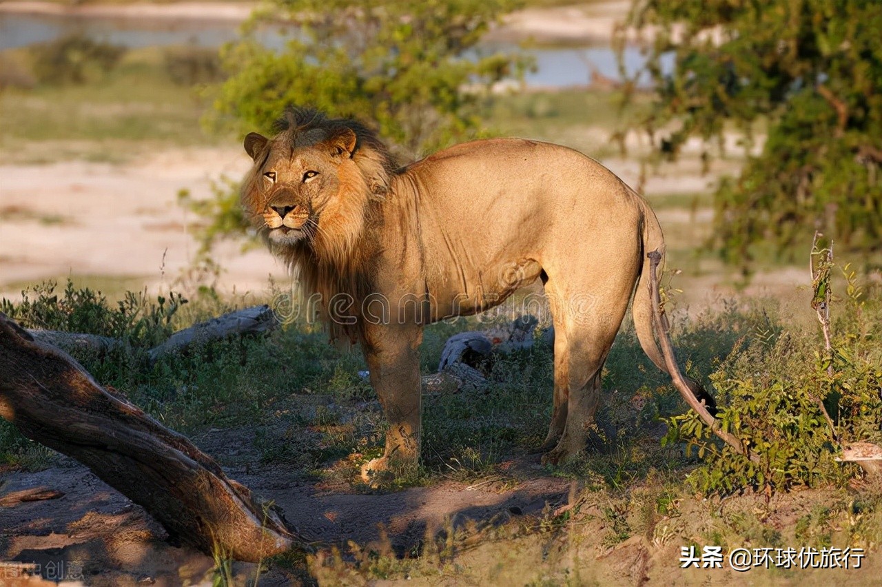 闈炴床鍗佸ぇ鏅壊,闈炴床鍗佸ぇ鑷劧椋庢櫙