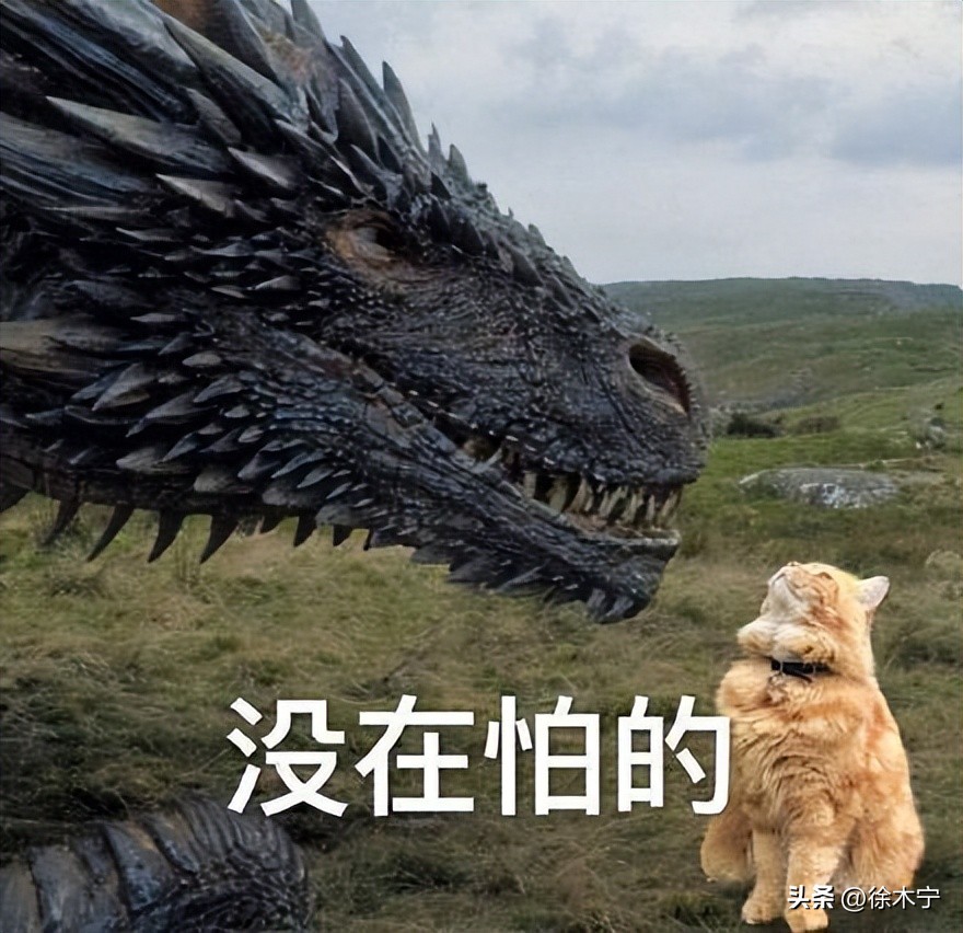 目前最实惠性价比最高的一款手机,几乎无差评的三款手机1500元