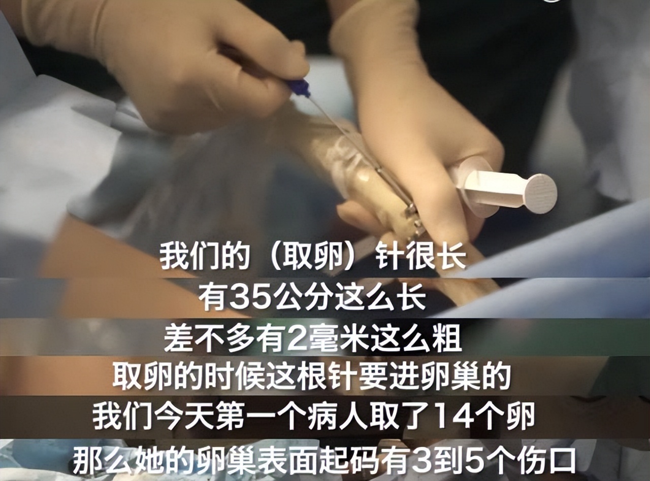 女大学生贪慕虚荣真实案件,女大学生贪慕虚荣被学长套路