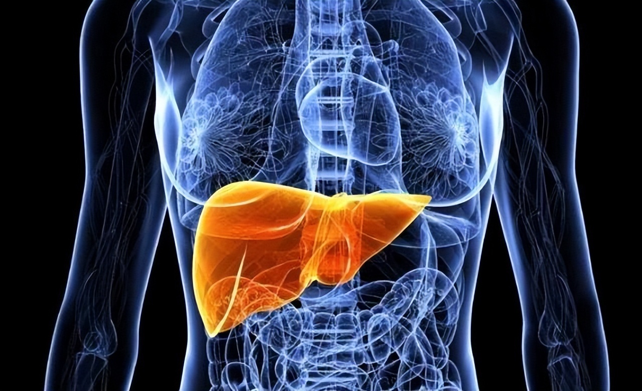 基于气血津液理论,探析阳虚质膝骨性关节炎的中医治疗