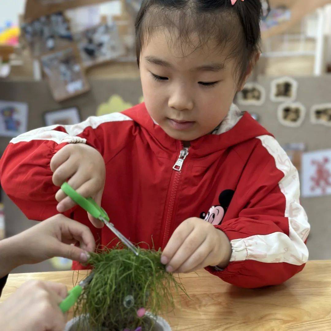 桐乡市庆安乐儿堡幼儿园,浙江省桐乡市庆安乐儿堡幼儿园