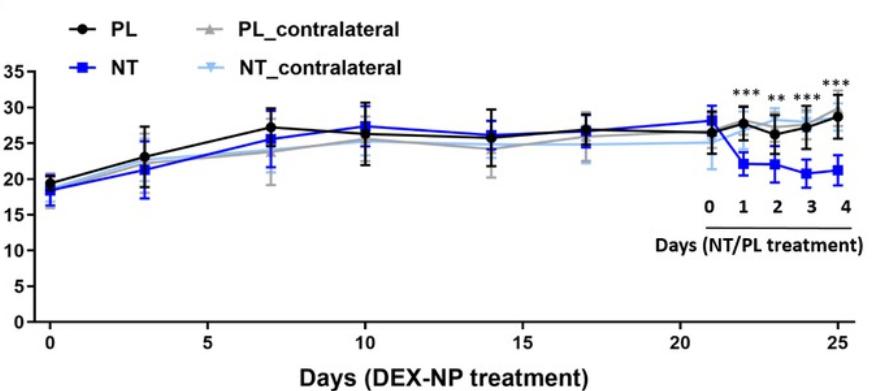 rho激酶抑制剂多少钱,rho激酶抑制剂是什么