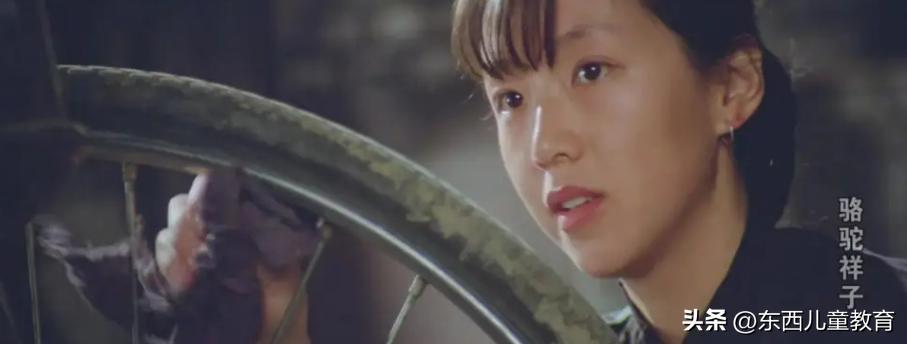 有哪些初看不以为意年纪越大越觉得是神作的书？知乎最高赞竟是它