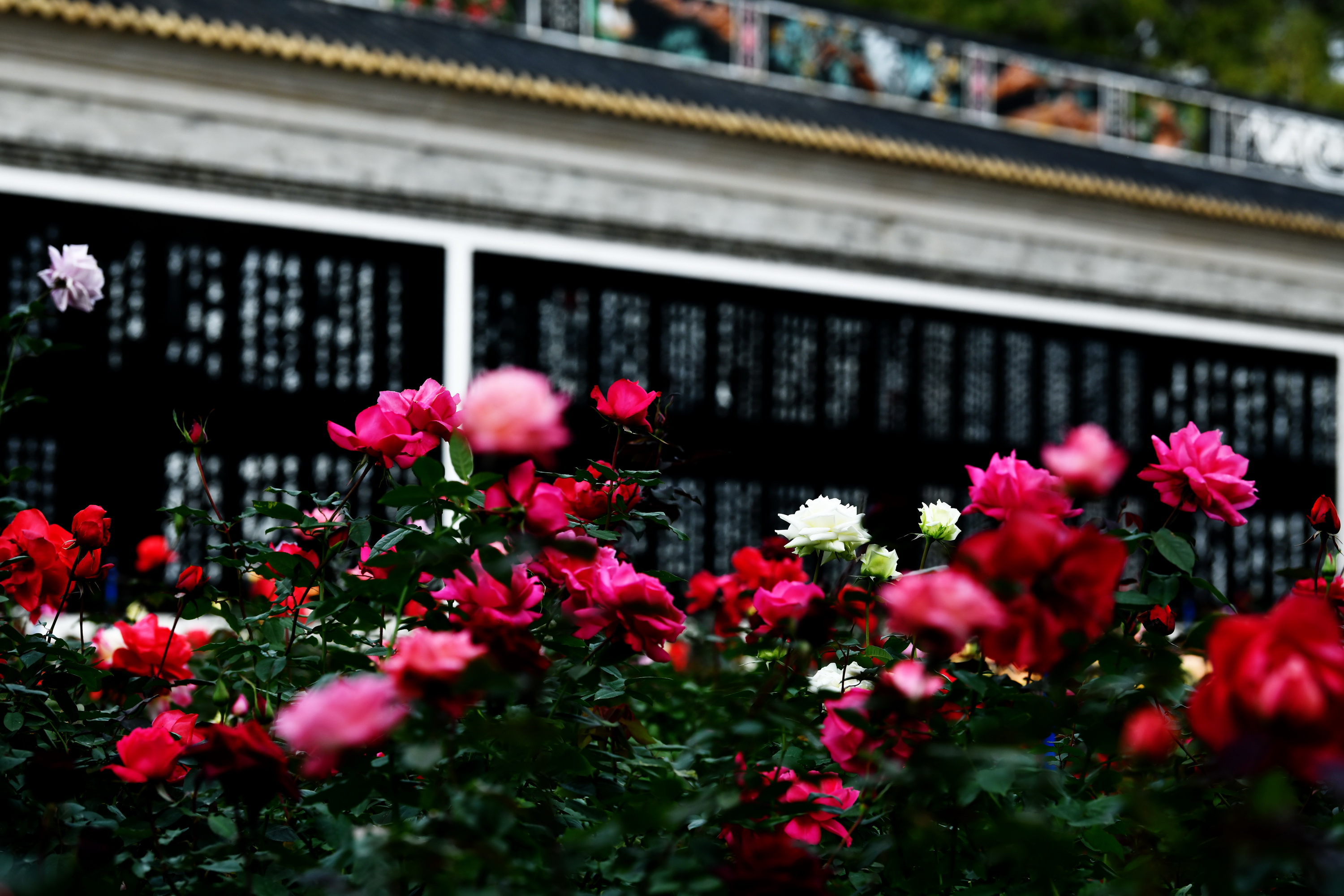 广州市番禺区宝墨园攻略,广州宝墨园景观