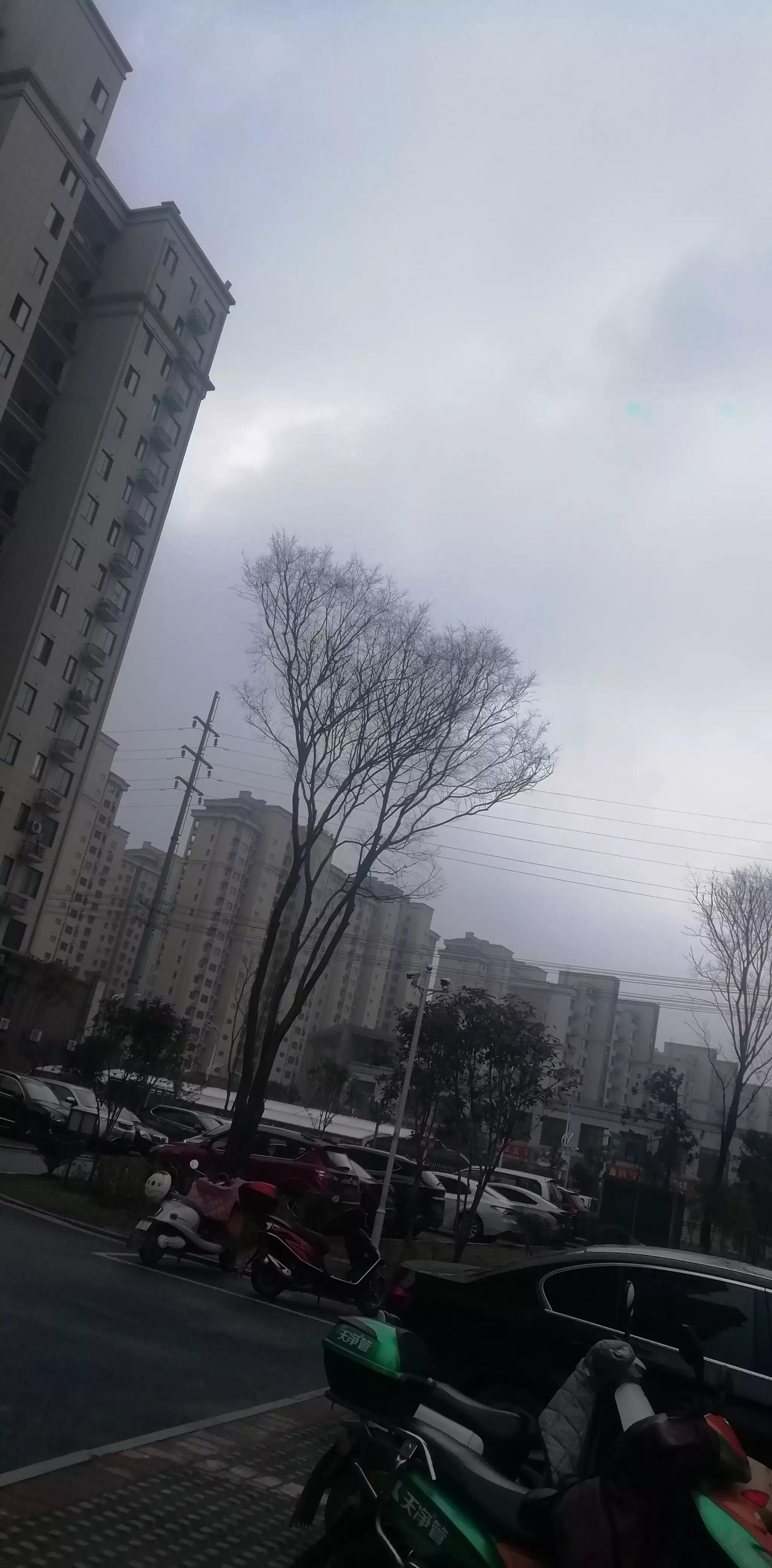 请投友们评论拍摄的怎么样？