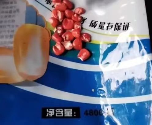农民伯伯买4800粒玉米种子，倒出来数完只有3118粒，网友大骂商家