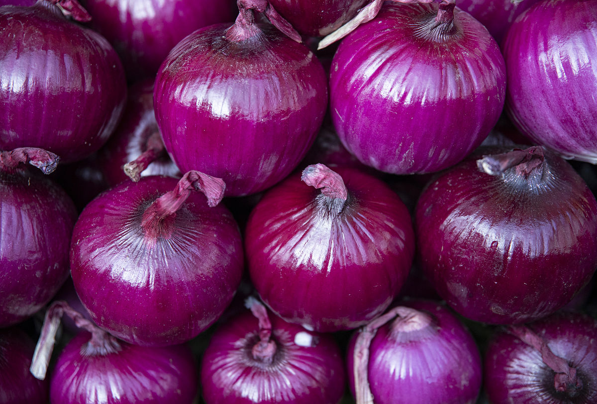 买洋葱怎么买嫩的,洋葱红皮和黄皮哪个好