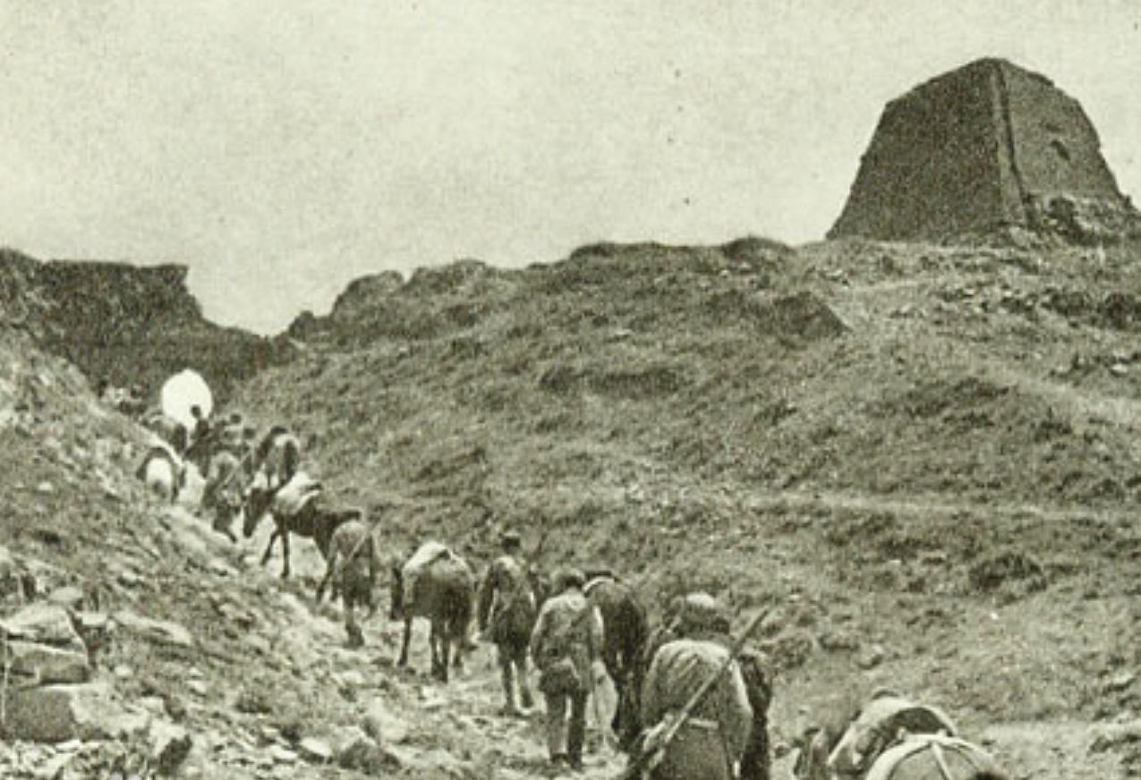 女商人资助落难青年,上海女商人帮助青年