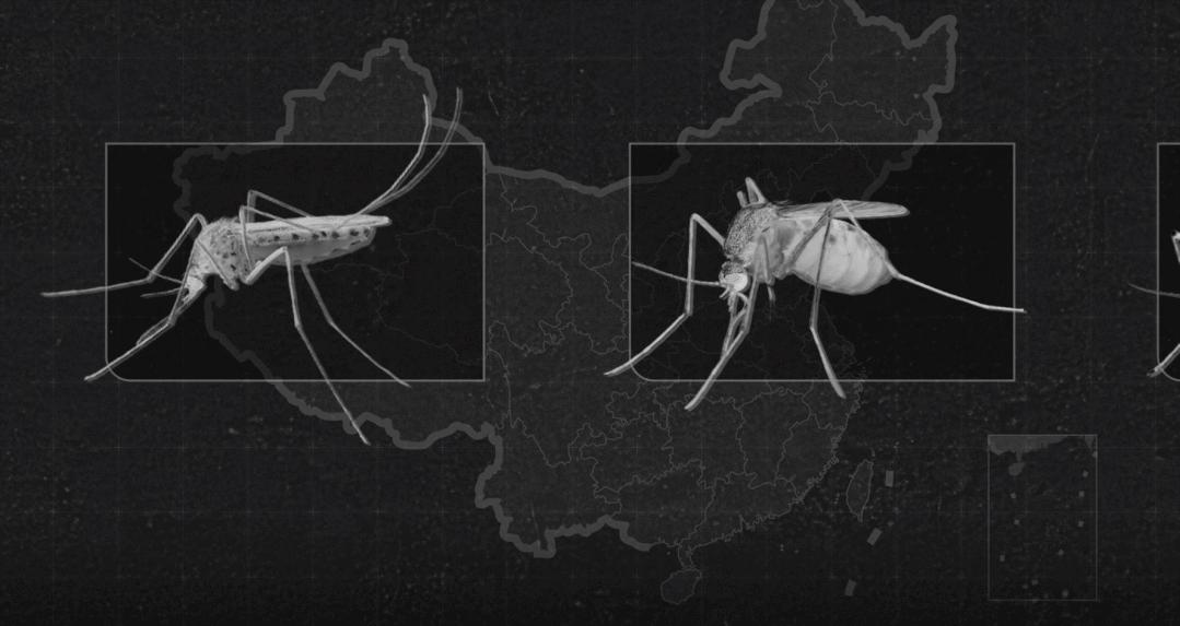 为什么蚊子不咬别人，只咬你？是O型血招蚊？奇怪的知识又增加了