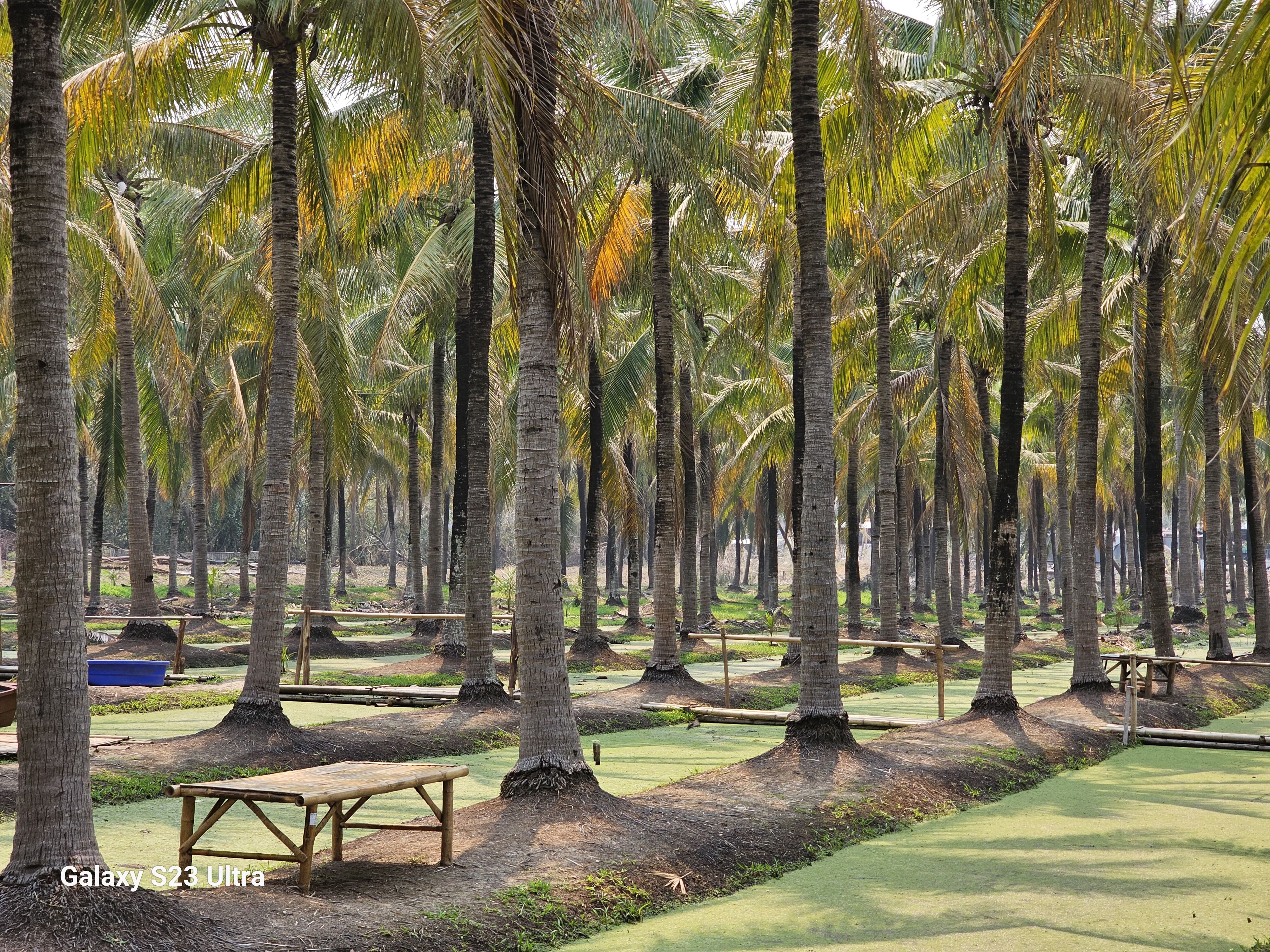 galaxys23ultra火影,galaxys23ultra港行