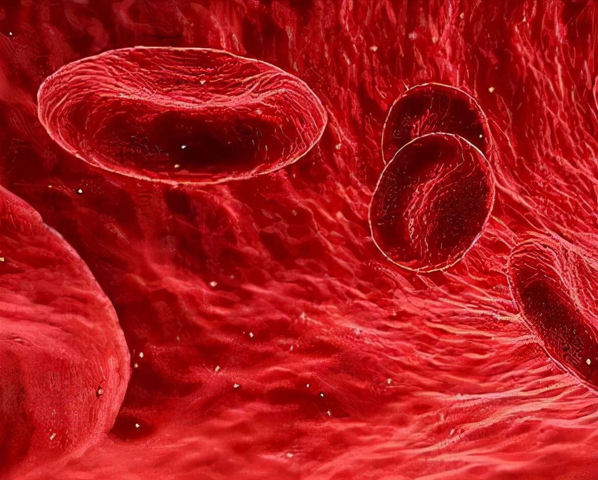 血常规中哪些指标升高需要再查,血常规四个指标升高需要注意什么