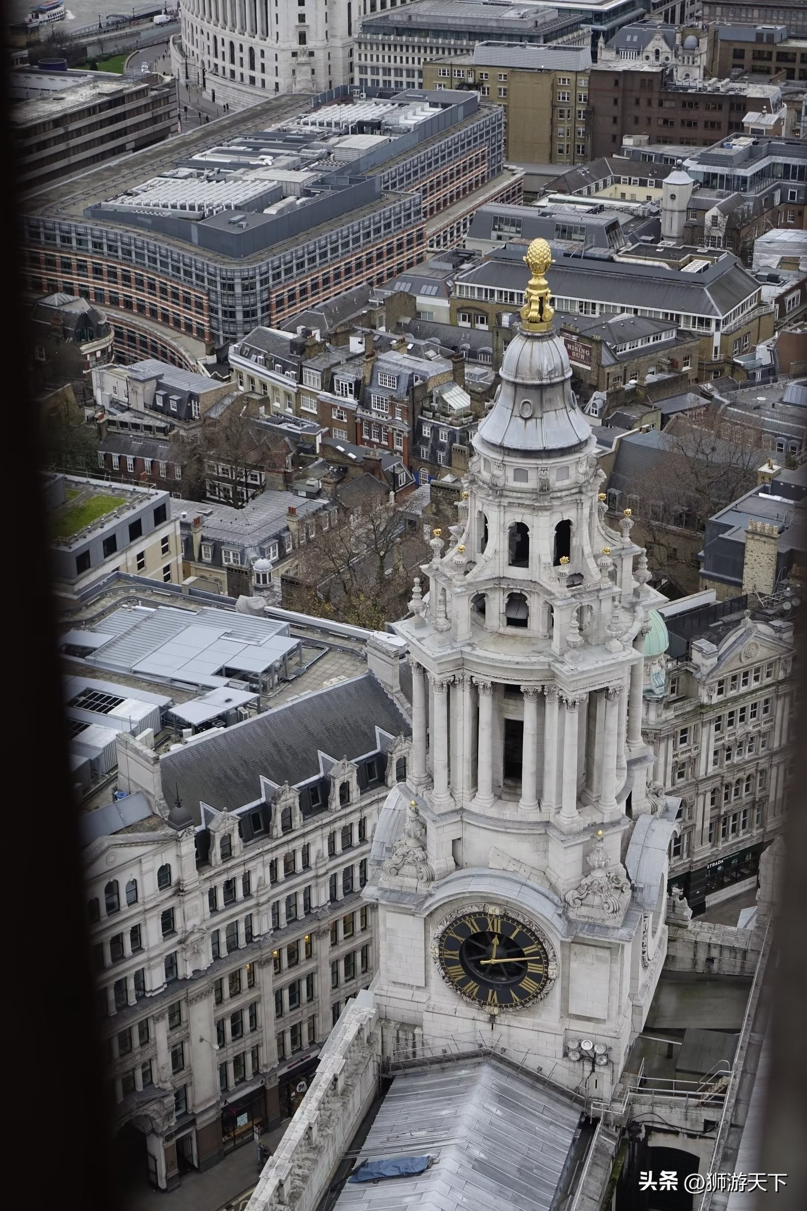 英国陪读能做什么,英国陪读