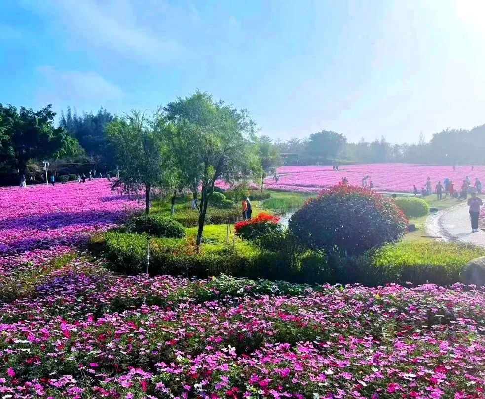 春节厦门,春节去厦门