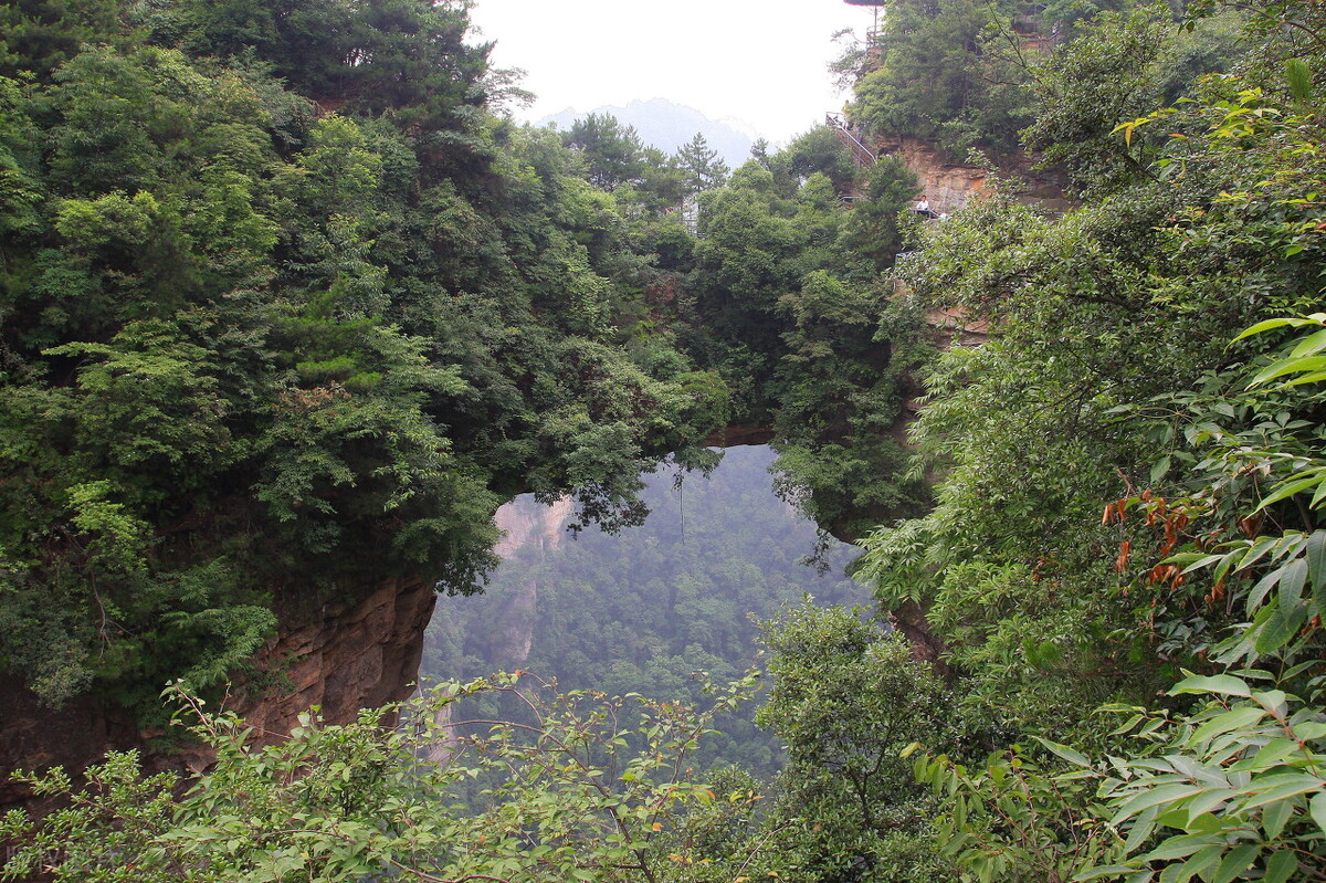 张家界自由行几天能玩完,张家界自由行旅游费用大概多少