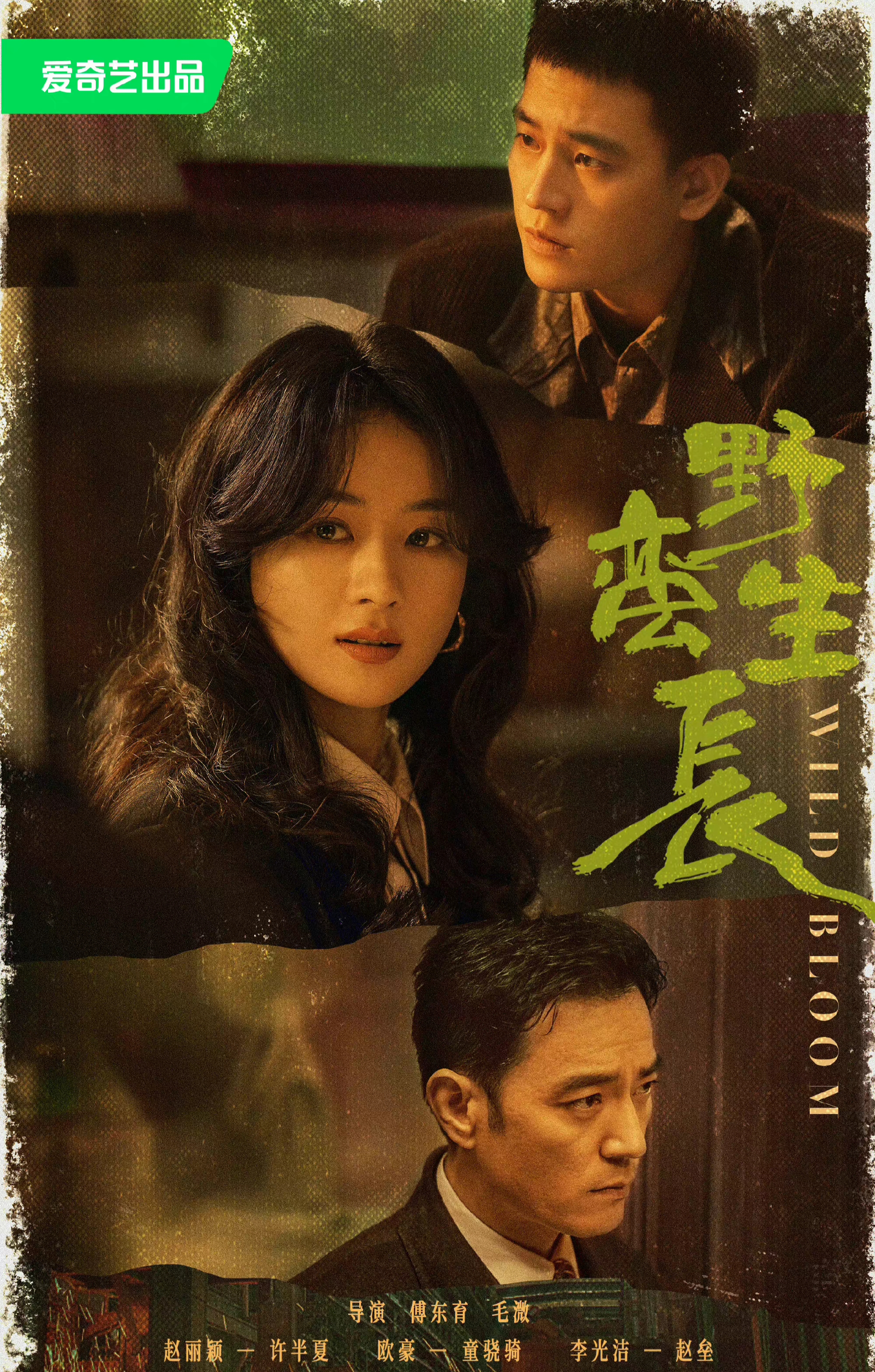 风吹半夏导演傅东育简介,傅东育导演谈风吹半夏播出效果