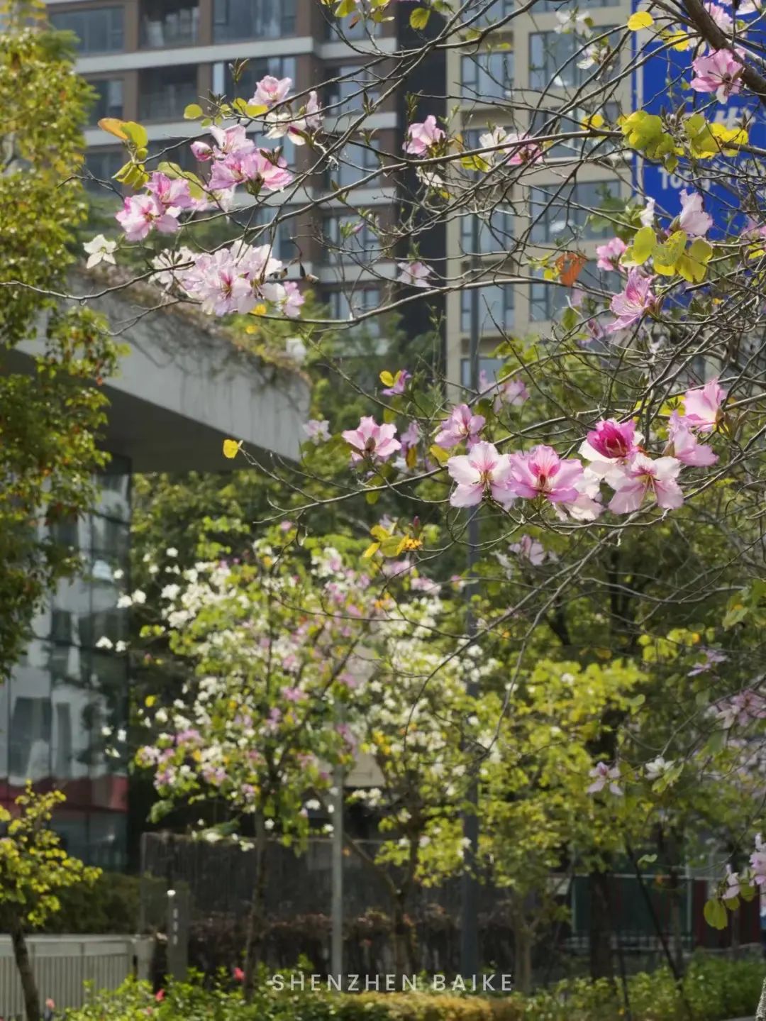 没想到这个设计公社里，还藏了个“小欧洲”和“魔法阵”——