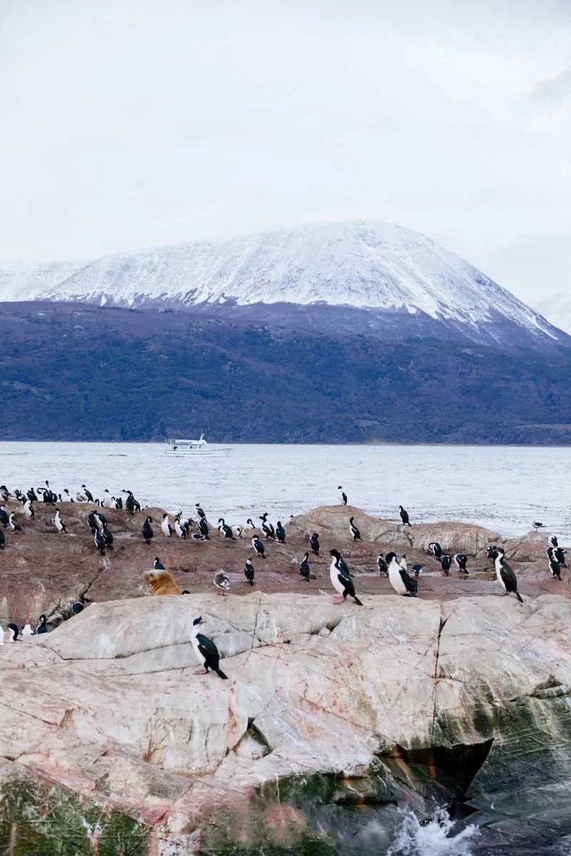 离中国距离最远的国家是,离中国距离最远国家