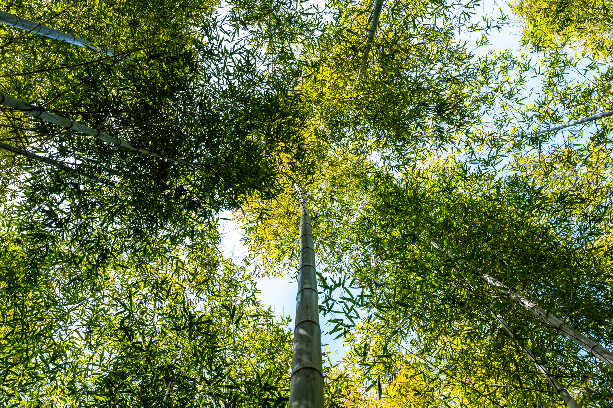 江苏最美海滨1号公路,中国最美一号公路自驾游