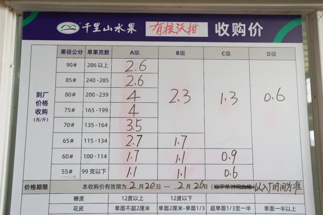 从0.6元到4元，优质优价能否引领农民种好果？