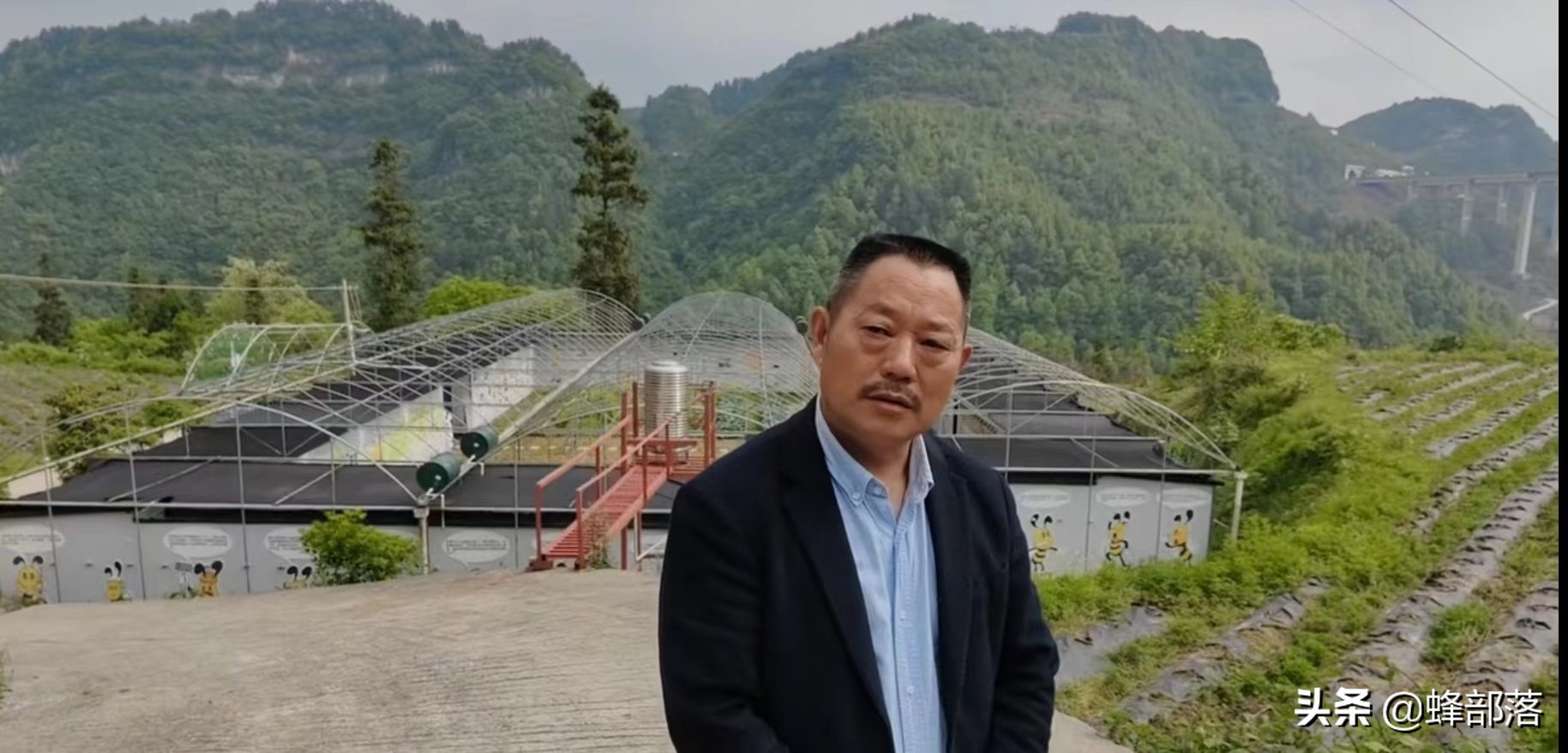 养蜂知识与技术的培训方法,养蜂知识和技术视频讲解教程