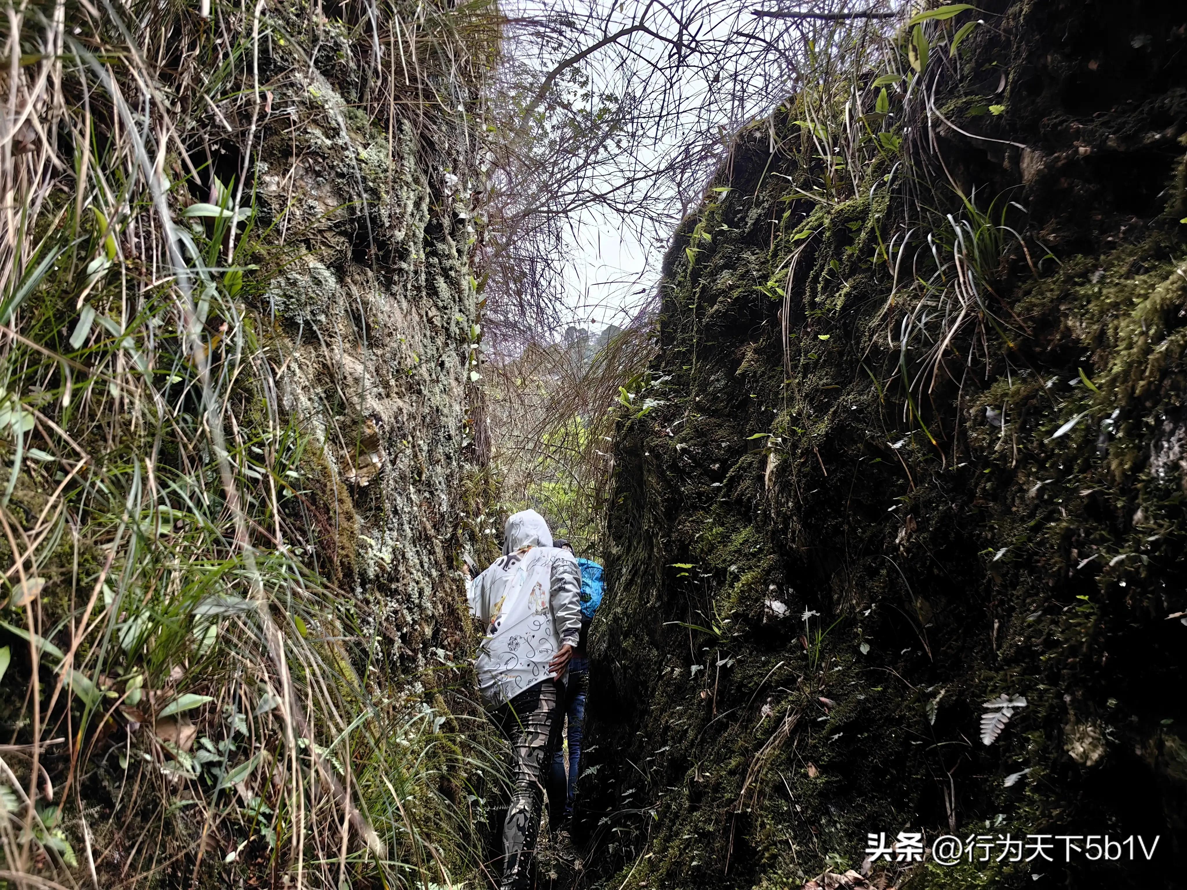 【探秘宛田红滩瀑布溯溪梦江吉翁瀑布】穿越花坪神秘风景线