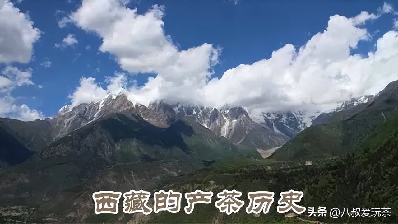 中国各省份名茶代表,中国十大名茶地图