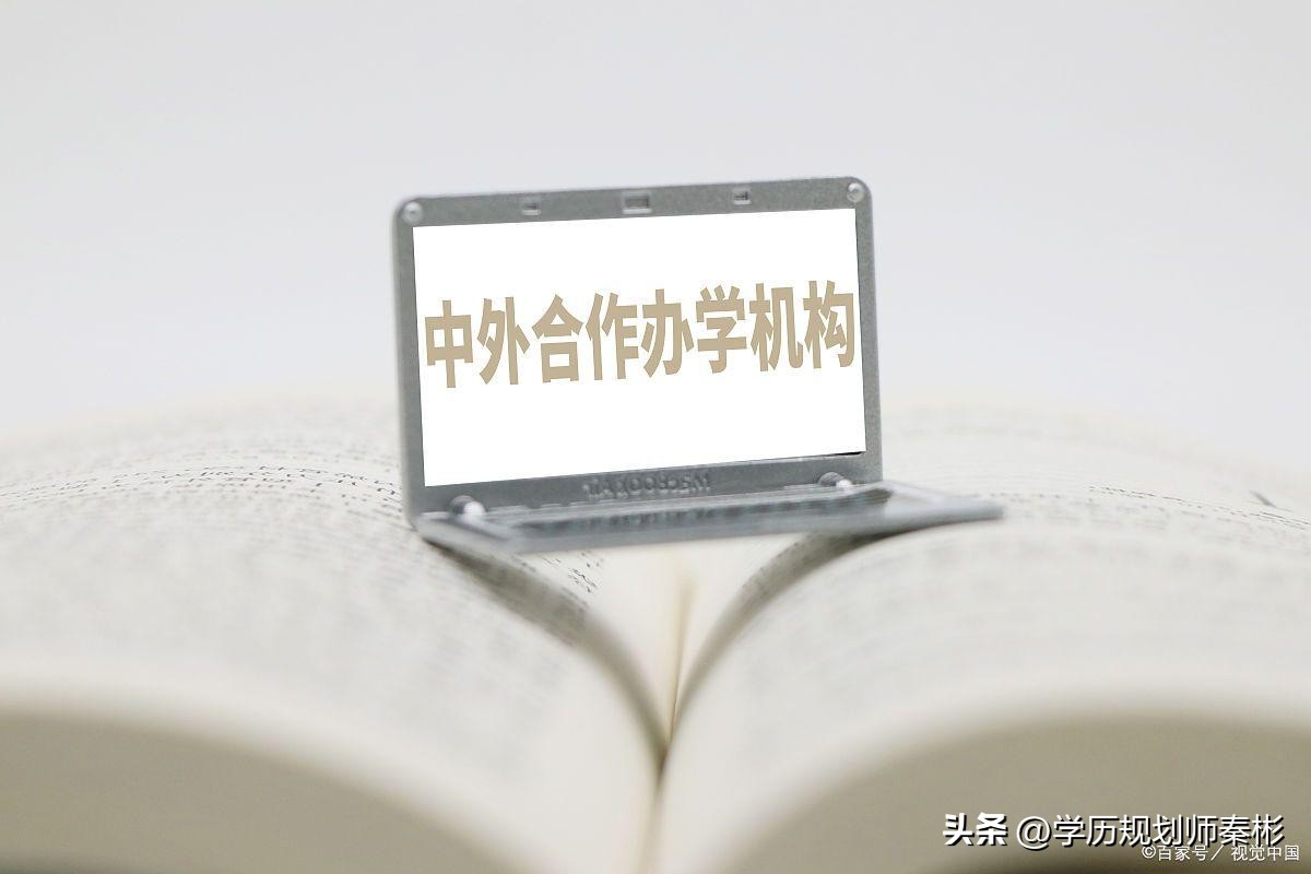 拿双证的中外合作办学,中外合办院校留学难不难