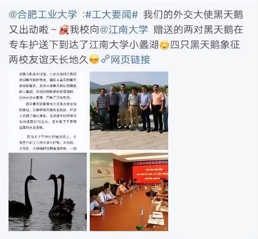 被黑天鹅打得措手不及,学校黑天鹅被学生拿