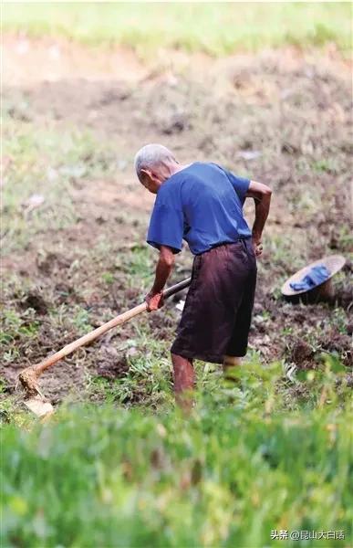 中国足球搞不上去,中国足球搞不好的原因