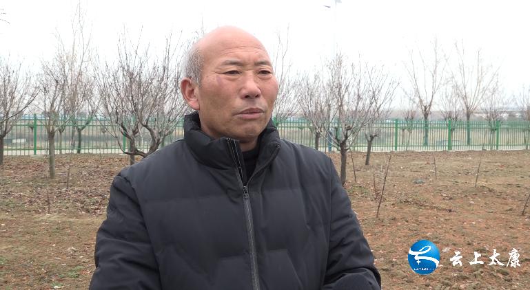 特色养殖助力乡村振兴骆驼,日照鸵鸟养殖助乡村振兴