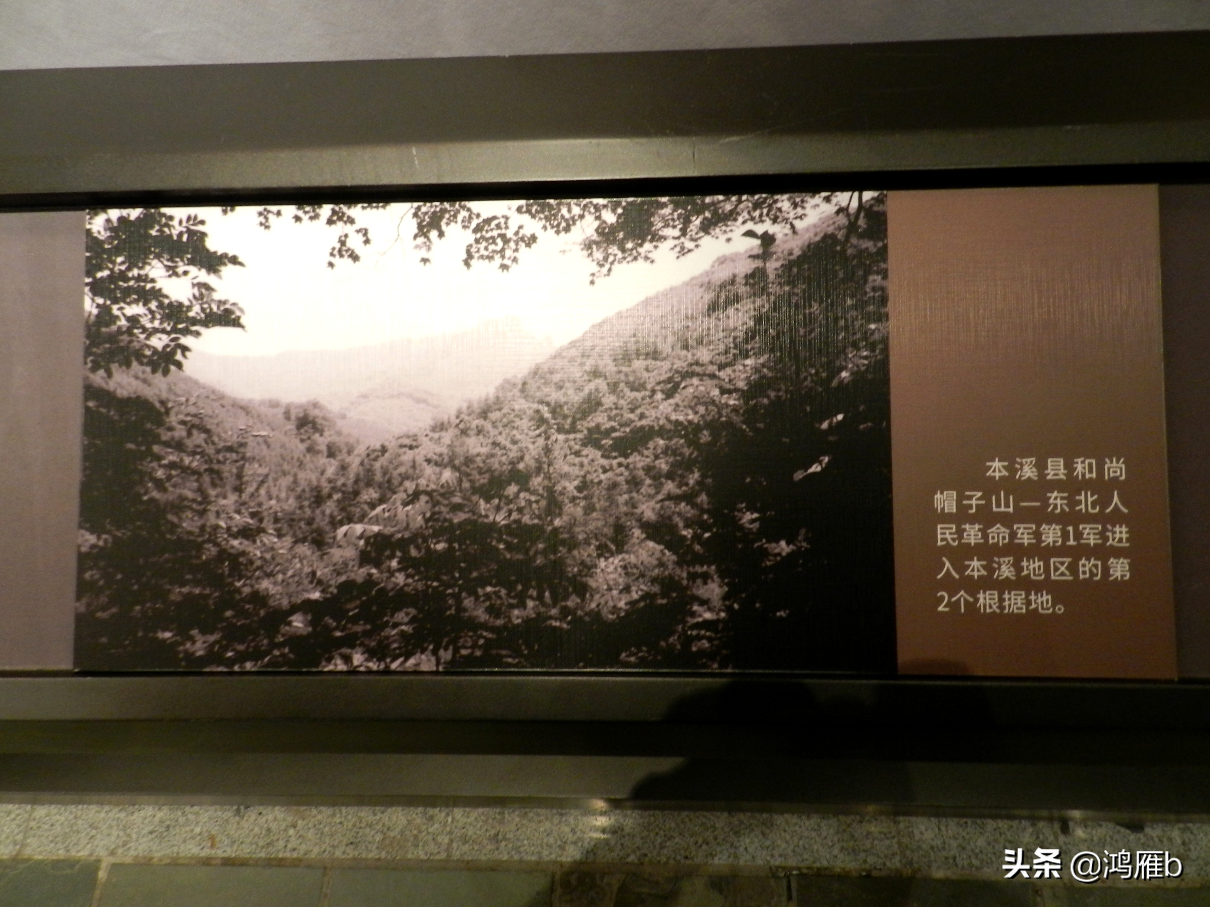 东北抗联的艰苦程度,抗联是不是最艰苦的