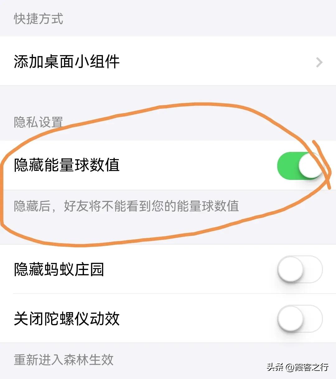 蚂蚁森林能查看访问记录吗,蚂蚁森林的消息记录