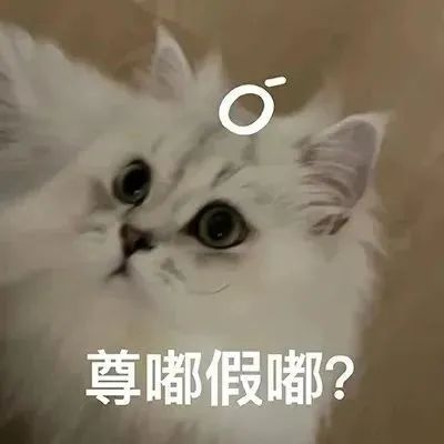 尊嘟假嘟被抢注商标商业解析,尊嘟假嘟被抢注商标是谁的