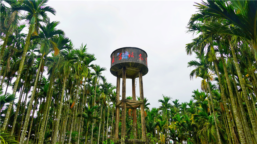 海南适合自驾的原始森林,海南黎族游玩攻略自驾游