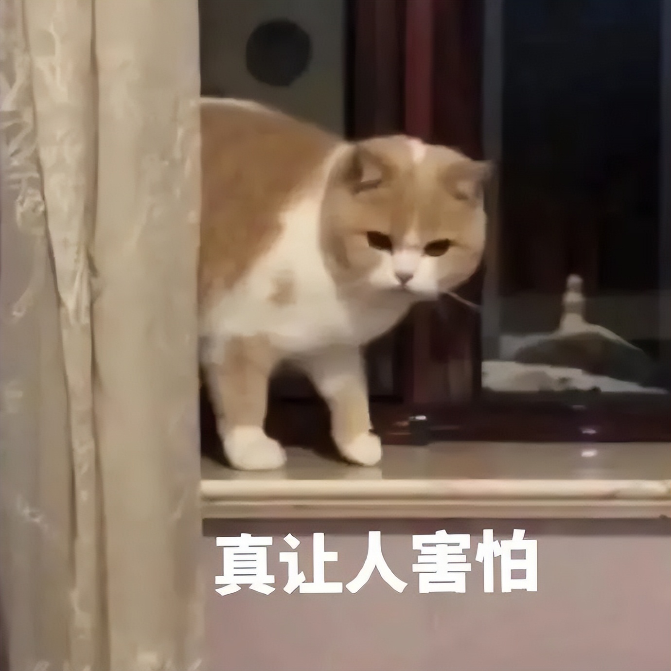 “部队*长首**”、“国企领导”预定大额订单？商家们，你们要当心！