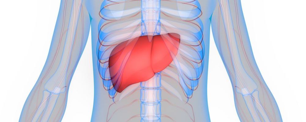 出现肝掌肝硬化的几率大吗,有肝掌是肝硬化几期