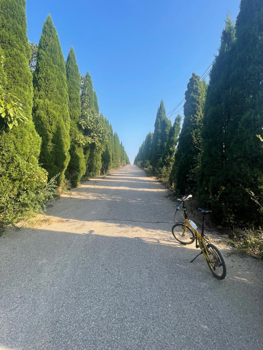 《懂懂骑山东》--烟台招远市