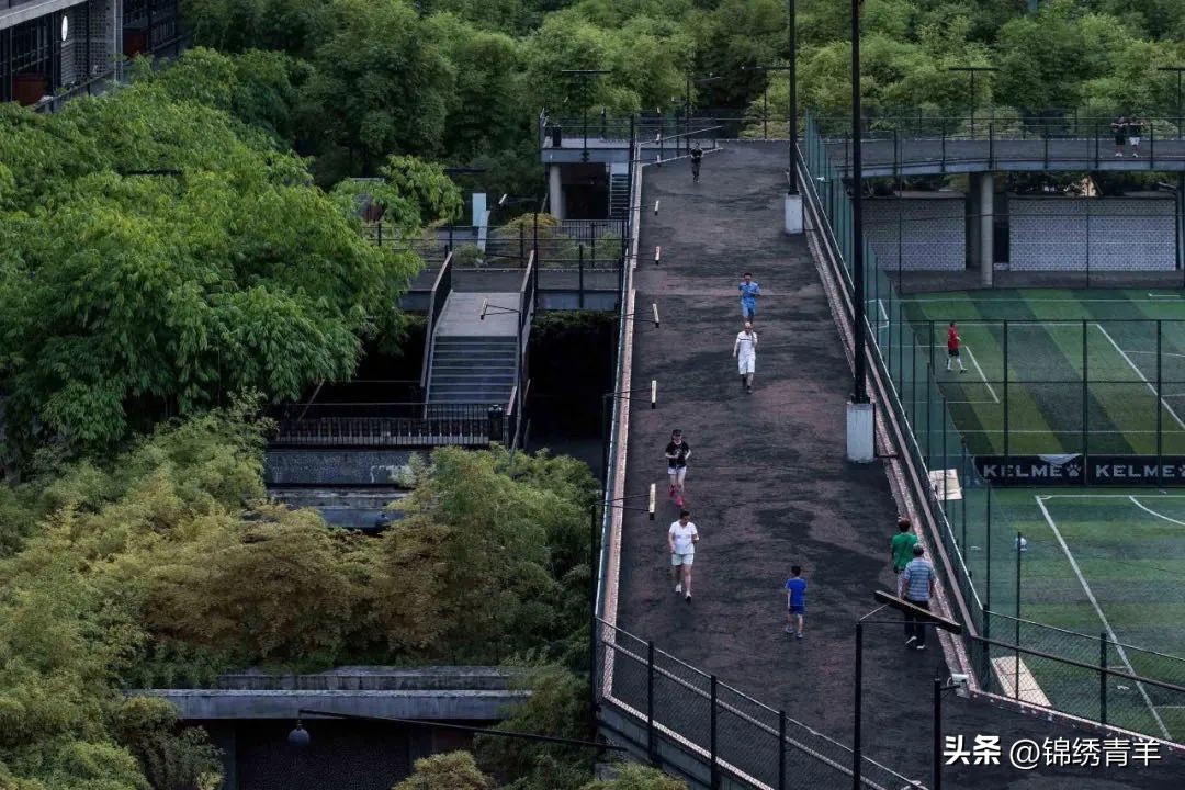 今天，你在哪里晒太阳？走！一起户外撒欢！