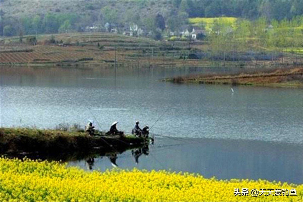 四季野钓，什么风向鱼最好钓？不管北风还是南风，都可能是爆护天