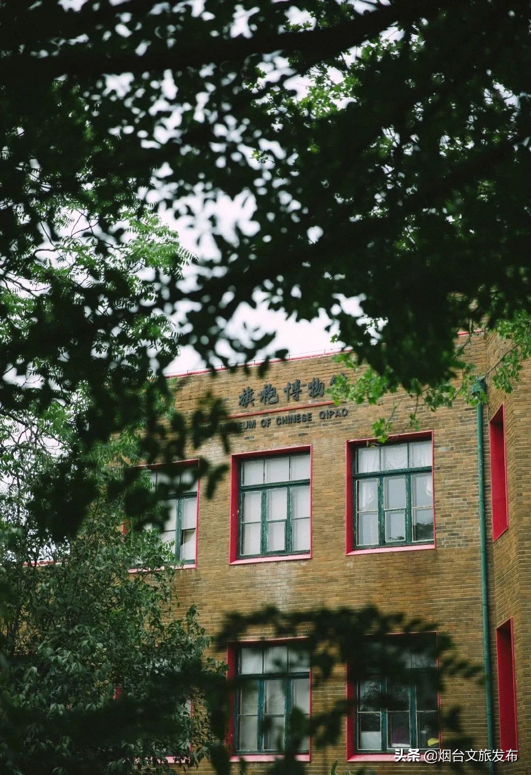 一到夏天，烟台就成了人们心心念念的消暑天堂！