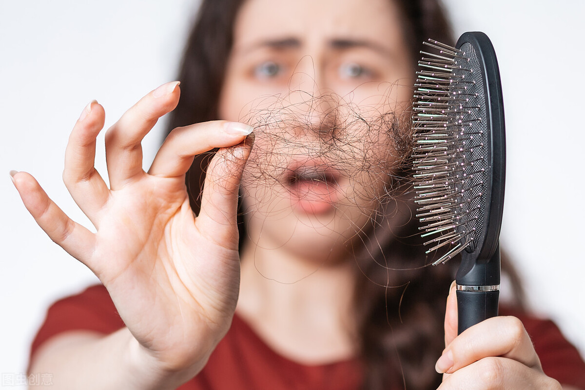 何首乌黑豆黑芝麻能治脱发吗,何首乌黑芝麻能治白发