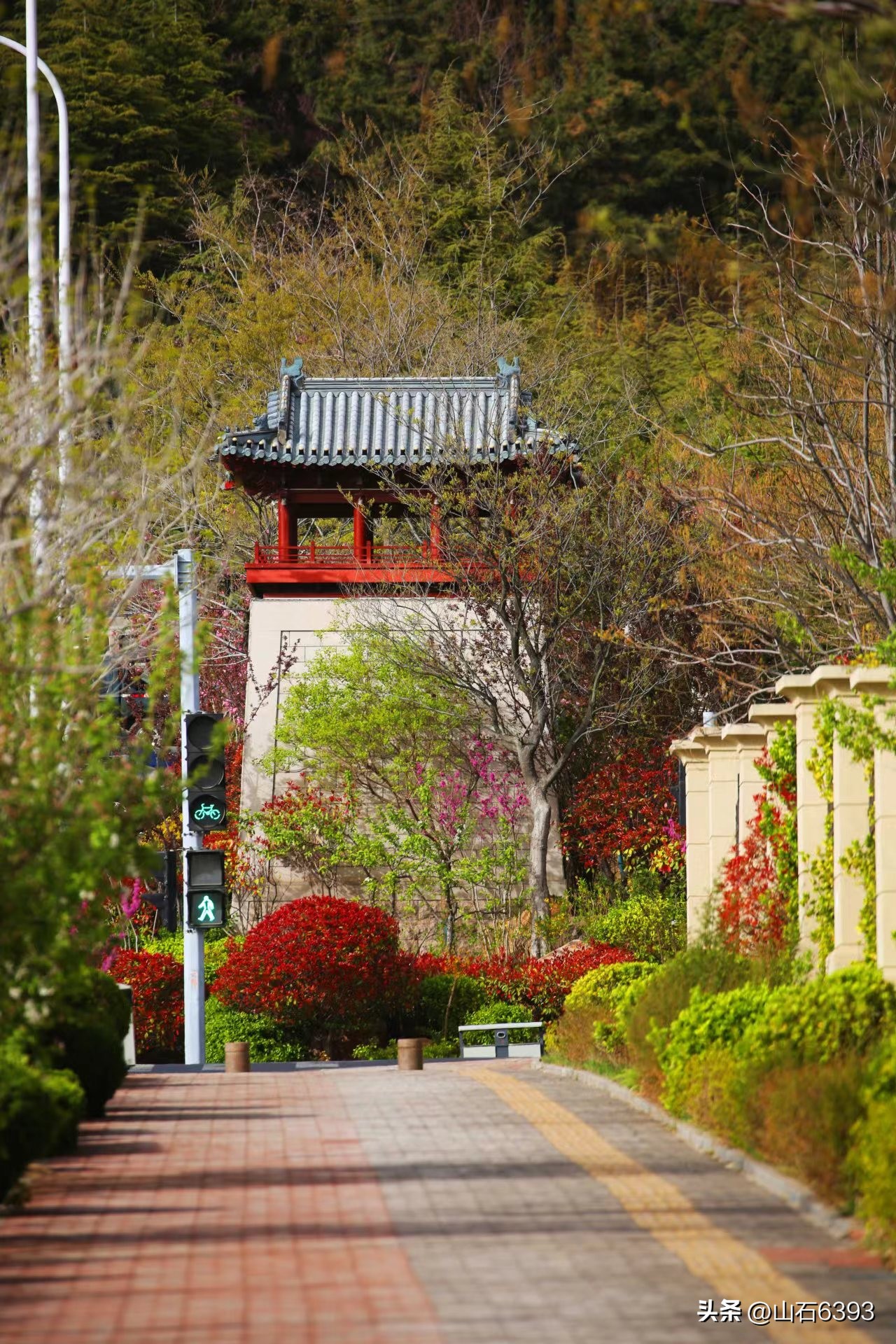 【战友美文】于天松：《爬山虎》（诗）——寓意极丰富哈