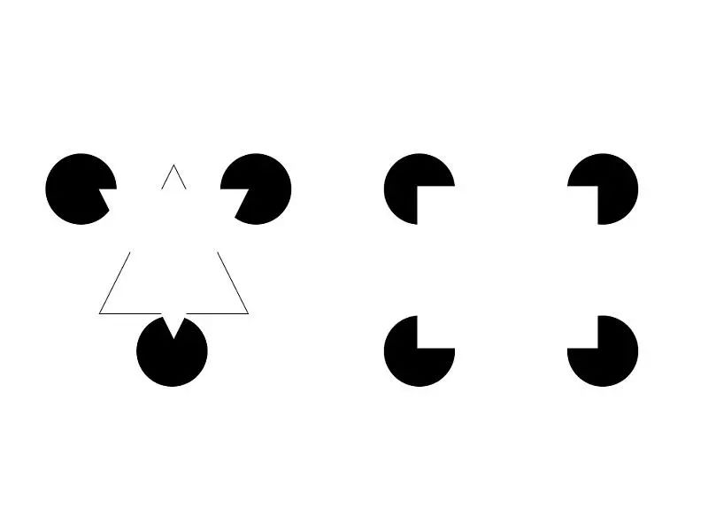 猫在地上画个圈,画一个圈圈真的能把猫圈在里面吗