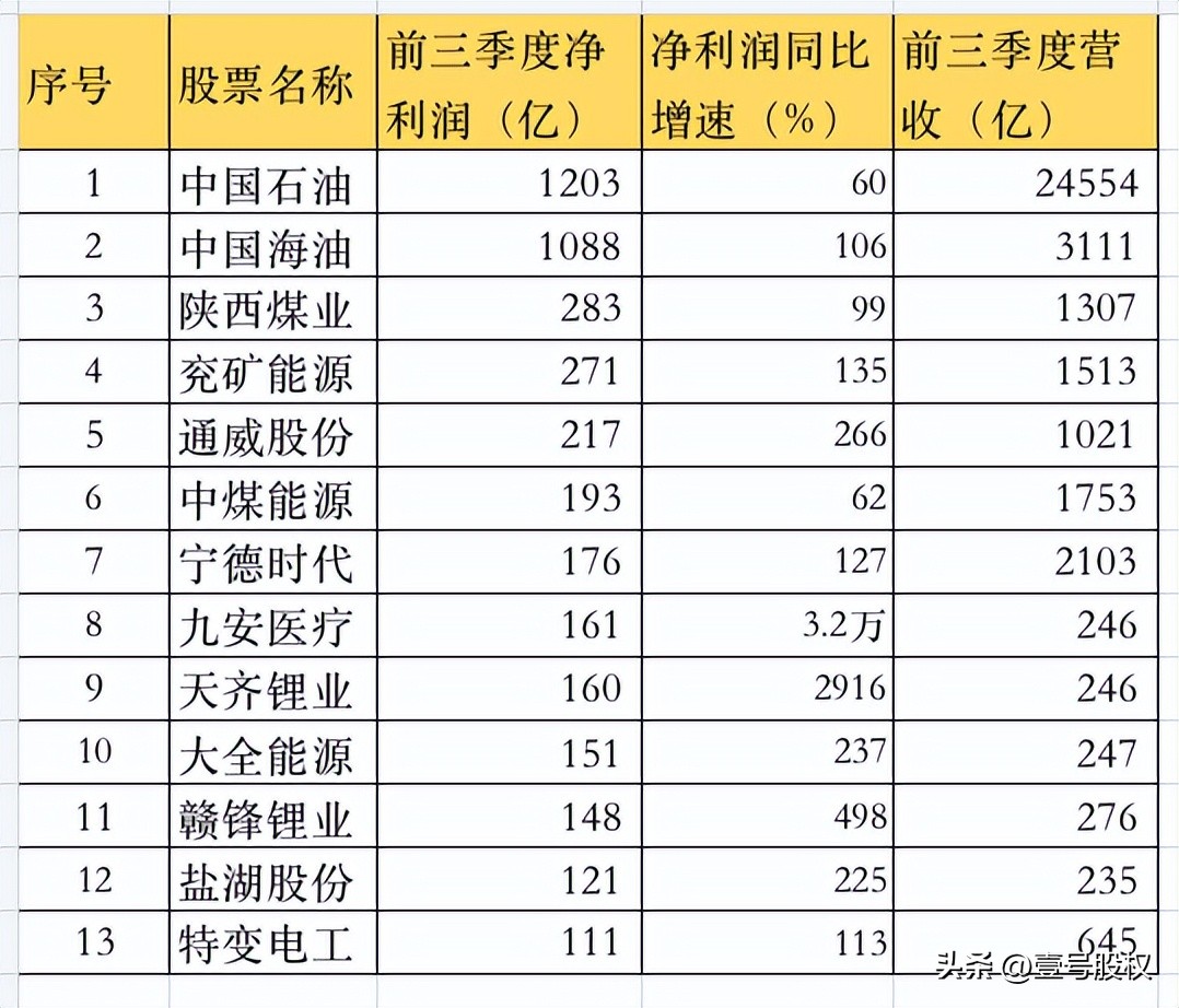 前十只利润最高的股票排名,股市收益最高的十大股票