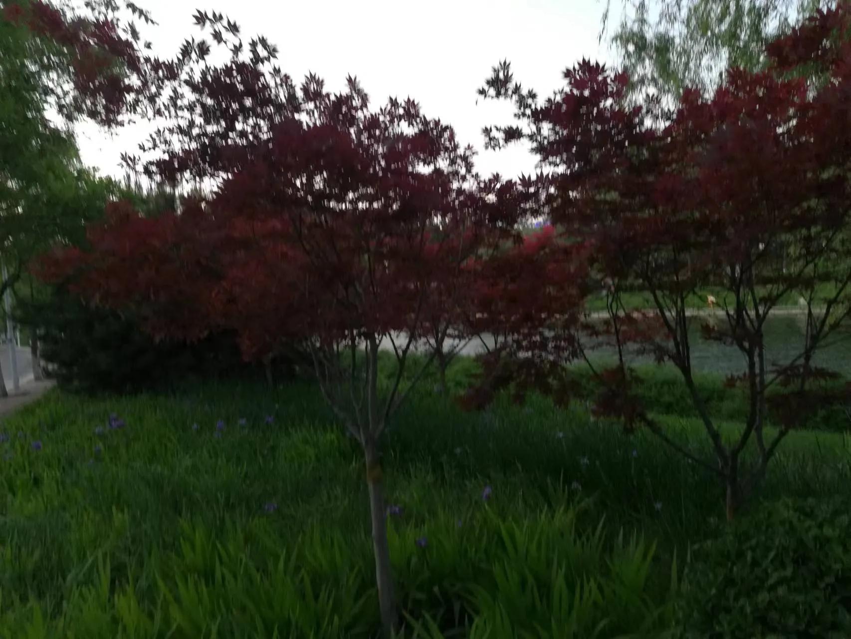 “嫂子，你是在窥探我家隐私”女儿留学想寄住姑姑家，小姑发火了